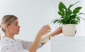 Neglected Office Areas