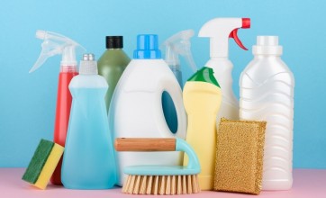 bleach-recommendation