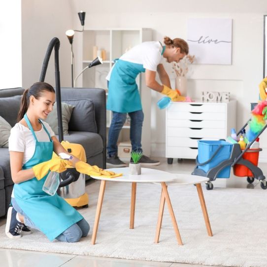 Commercial Cleaners Hobsonville