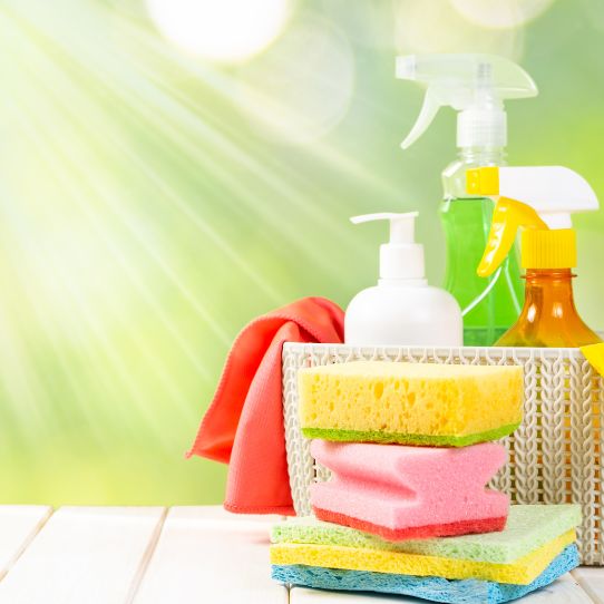 Commercial Cleaners Lower Hutt