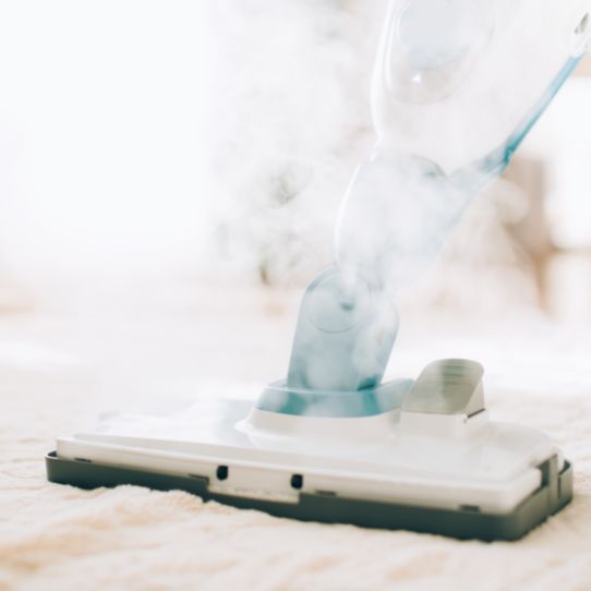 Commercial Cleaners Porirua