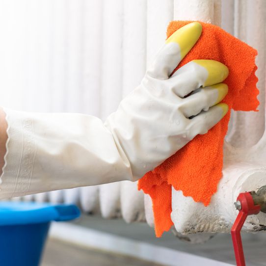 Commercial Cleaners Papamoa