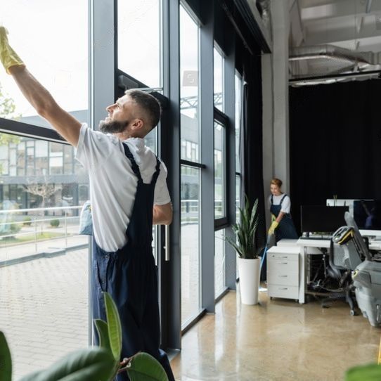 Commercial Cleaning Takapu Valley