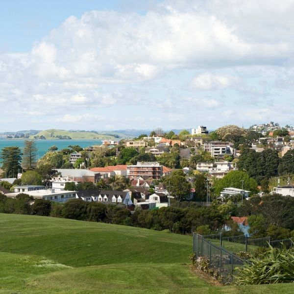 East Auckland commercial cleaners